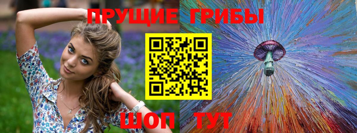 Псилоцибиновые грибы Psilocybe  Вход с VPN  Псилоцибиновые грибы Cubensis  Сердобск 